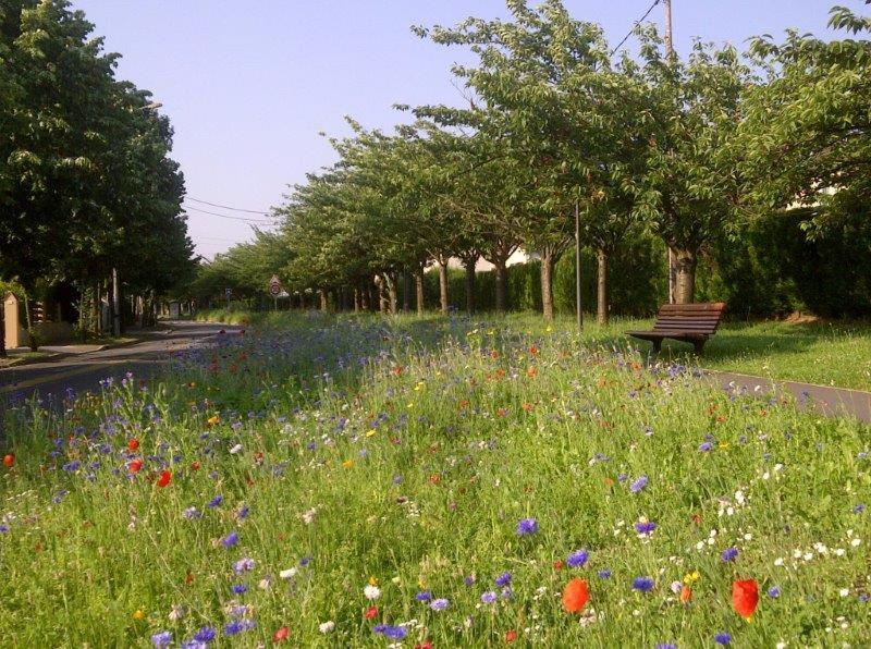 Appart Hotel Studihotel Palaiseau Plateau Saclay Kültér fotó